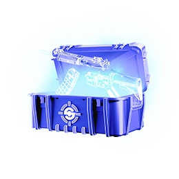 Case Preview